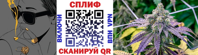 Магазины продажи наркотиков Курильск Псилоцибиновые грибы Alpha PVP ГАШ Каннабис Меф мяу мяу COCAIN