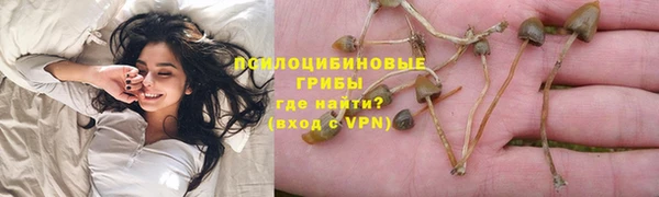 прущая мука Богородицк