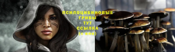 прущая мука Богородицк
