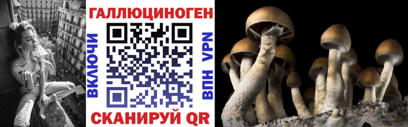 Псилоцибиновые грибы прущие грибы  хочу   Курильск 